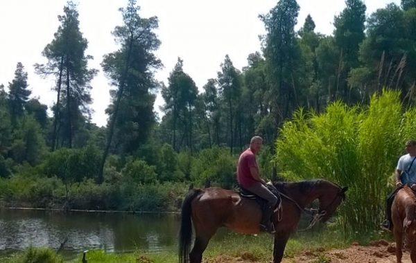 Horseback riding in Sithonia
