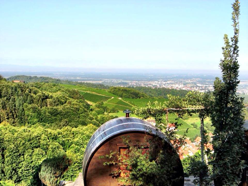 View from Tsipeli estate