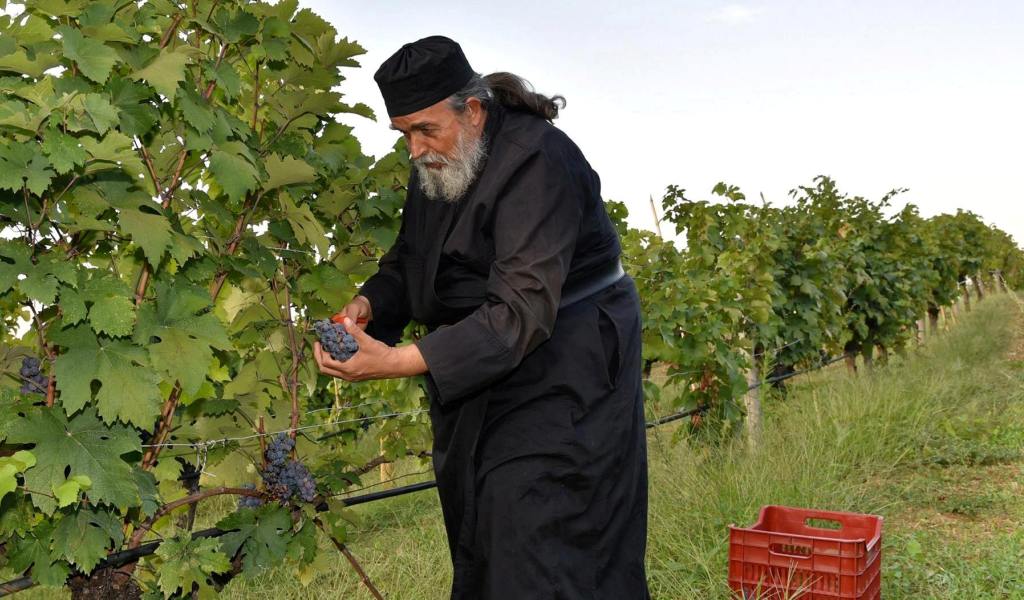 Domaine viticole de Mylopotamos au Mont Athos |  Chalcidique