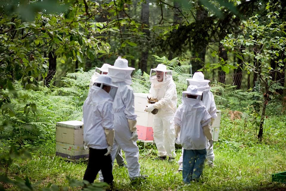Visit to the beehives
