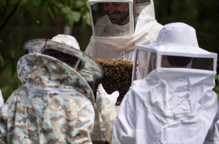 Become a beekeeper for one day!